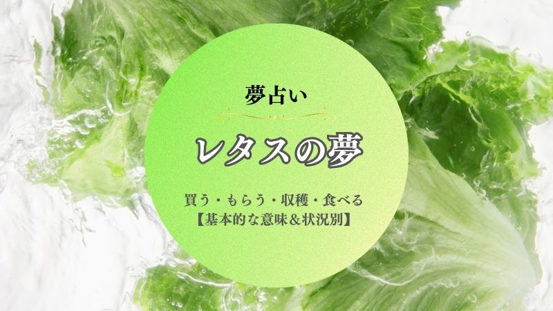 レタス・夢占い・意味・買う・もらう・収穫・食べる・大きい・小さい・状況別