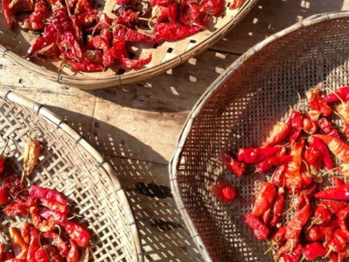 唐辛子の夢を見た人へのアドバイス