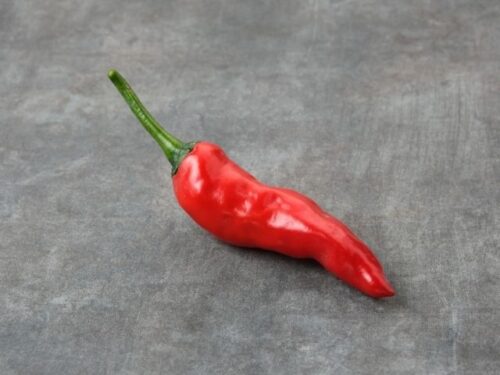 唐辛子の夢を見る時のスピリチュアルメッセージ