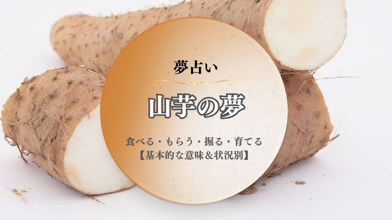 山芋・夢占い・意味・食べる・もらう・掘る・育てる・たくさん・状況別