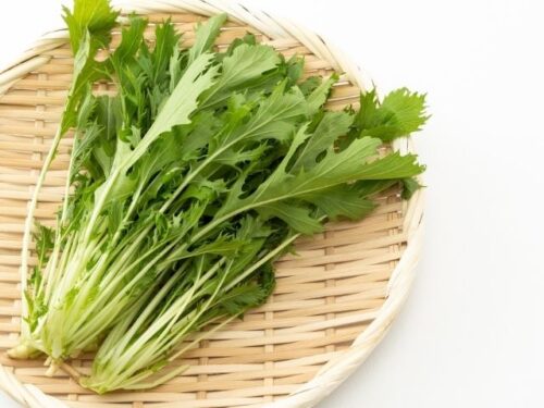 水菜料理を作る夢占いと意味