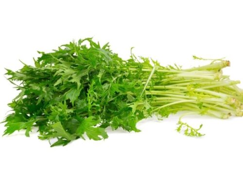 水菜の状況別夢占い