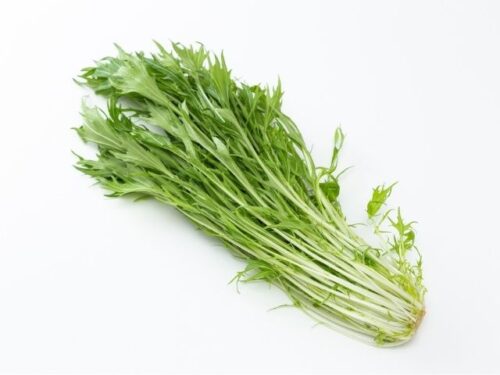 水菜の夢占いと基本的な意味