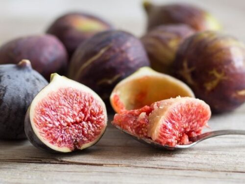 いちじくの夢を見た人へのアドバイス