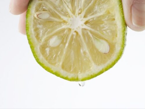 かぼすを誰かと食べる夢