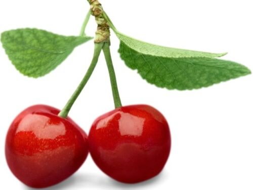 さくらんぼの木の夢占いと意味