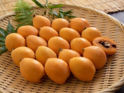 びわ(枇杷)の状況別夢占い