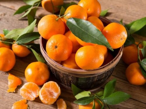 みかんの夢占いと基本的な意味