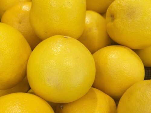 グレープフルーツの夢を見る時のスピリチュアルメッセージは？