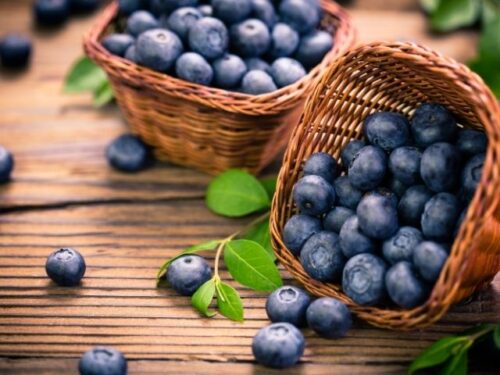 ブルーベリーの状況別夢占いと意味