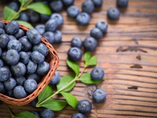 ブルーベリーの夢を見る時のスピリチュアルメッセージ