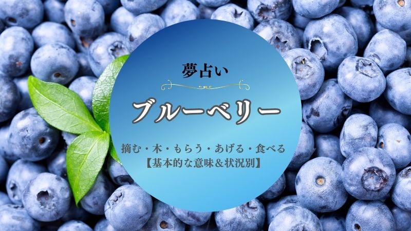 ブルーベリー・夢占い・摘む・意味・食べる・木・ジャム・あげる・もらう・状況別