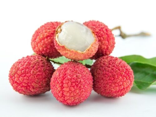 ライチの夢を見た人へのアドバイス