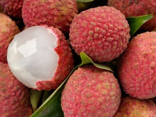 ライチの夢占いと基本的な意味