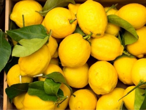 レモンの夢占いと基本的な意味