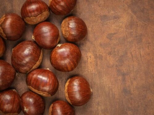 栗の状況別夢占いと意味