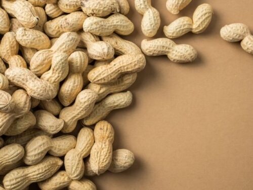 落花生の夢を見た人へのアドバイス