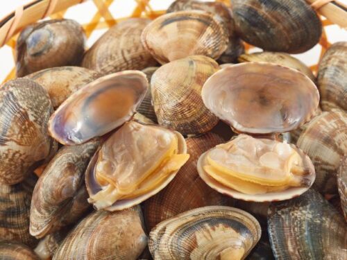 あさりの夢占いと基本的な意味