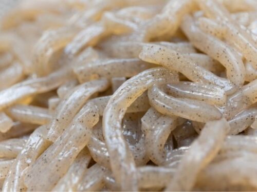 糸こんにゃくの夢占いと意味