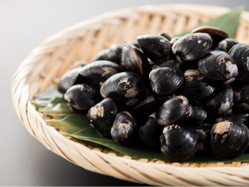 しじみの状況別夢占い