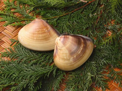 はまぐりを料理する夢占いと意味