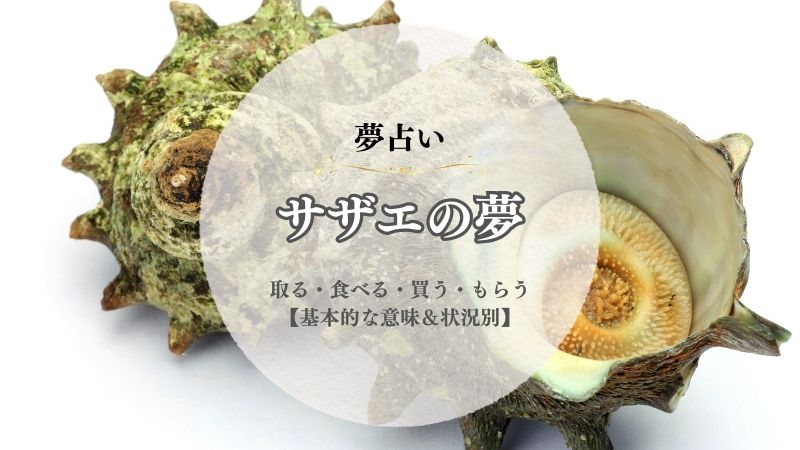 サザエ・夢占い・意味・取る・食べる・買う・もらう・大きい・状況別