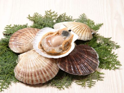 ホタテの夢を見る時のスピリチュアルメッセージは？