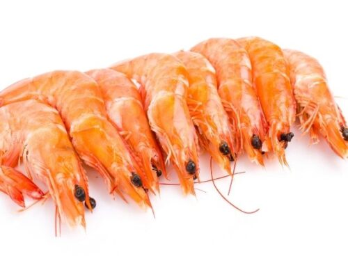 海老の状況別夢占いと意味