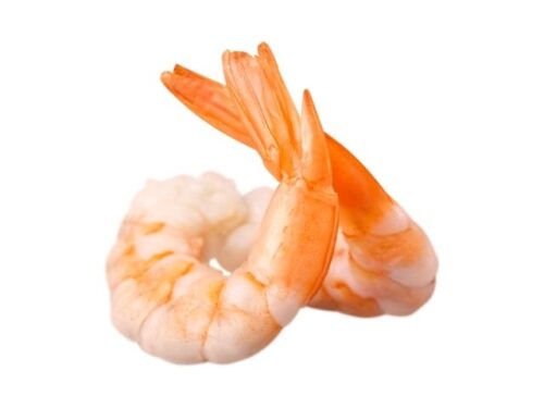 種類別の海老の夢占いと意味