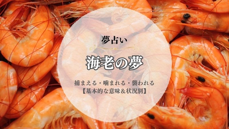 海老・夢占い・意味・捕まえる・噛まれる・襲われる・追いかけられる・怖い・大量・大きい・小さい・状況別