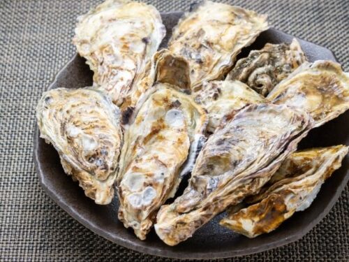 牡蠣を料理する夢占いと意味