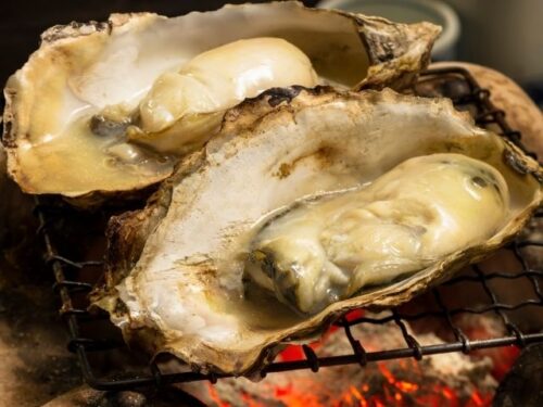 牡蠣の夢占いと基本的な意味