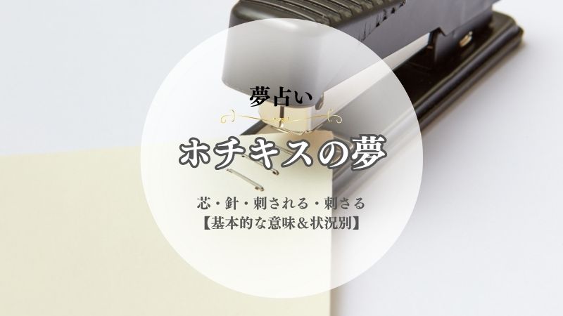 ホチキスの夢占いと意味！芯・針・刺される・刺さる・使う・壊れる【状況別】 | yumesupi｜夢占い・スピリチュアルサイト