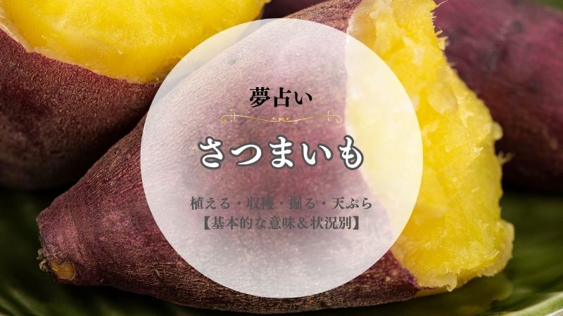 さつまいも・夢占い・意味・植える・収穫・掘る・天ぷら・買う・大きい・状況別