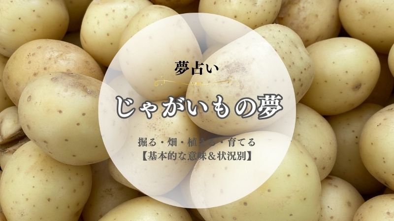 じゃがいも・夢占い・意味・掘る・畑・植える・育てる・たくさん・切る・料理・状況別