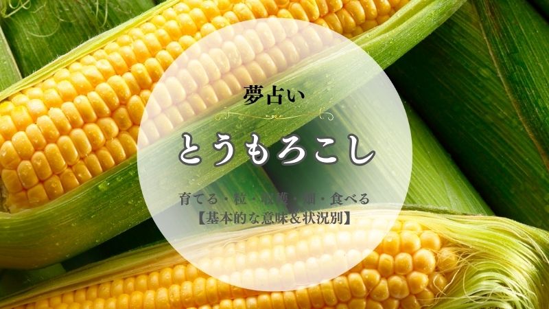 とうもろこし・夢占い・意味・育てる・粒・収穫・畑・食べる・もらう・焼き・状況別
