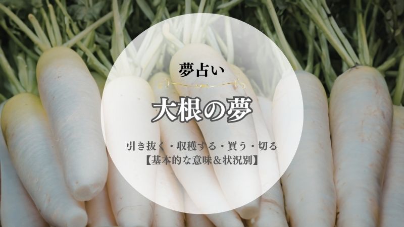 大根・夢占い・意味・引き抜く・収穫する・買う・切る・かじる・おろす・掘る・状況別