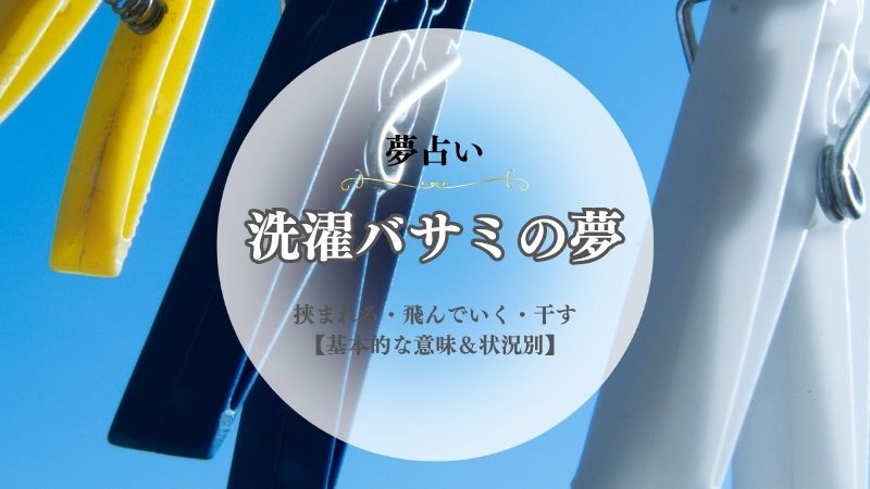洗濯バサミ・夢占い・意味・挟まれる・飛んでいく・干す・なくす・使う・拾う・状況別
