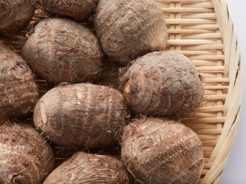 里芋の収穫・育てる夢占いと意味