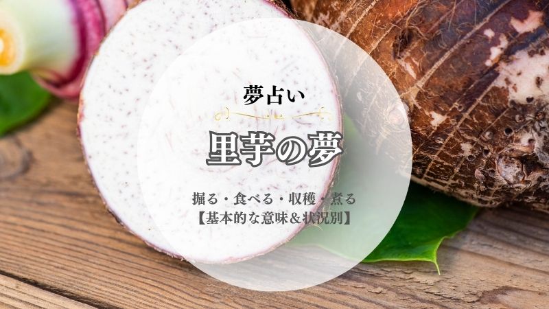 里芋・夢占い・意味・掘る・食べる・収穫・煮る・料理・泥付き・皮をむく・状況別