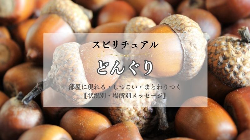 どんぐり・スピリチュアル・意味・落ちてくる・木・落ちる・拾う・割れた・たくさん