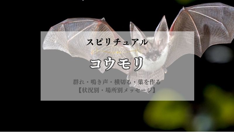 コウモリ・スピリチュアル・意味・群れ・鳴き声・横切る・巣を作る・来る家・頭上を飛ぶ・状況別
