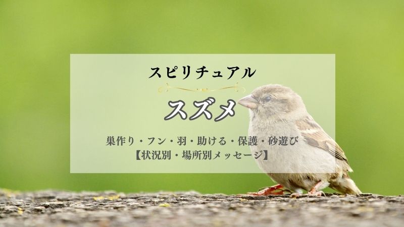 スズメ・スピリチュアル・意味・巣作り・フン・羽・助ける・保護・砂遊び・怪我・よく見る・状況別