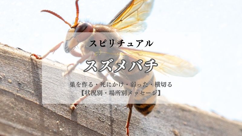 スズメバチ・スピリチュアル・意味・巣を作る・死にかけ・弱った・横切る・寄ってくる・状況別