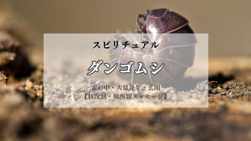 ダンゴムシ・スピリチュアル・意味・家の中・大量発生・玄関で見る・メッセージ