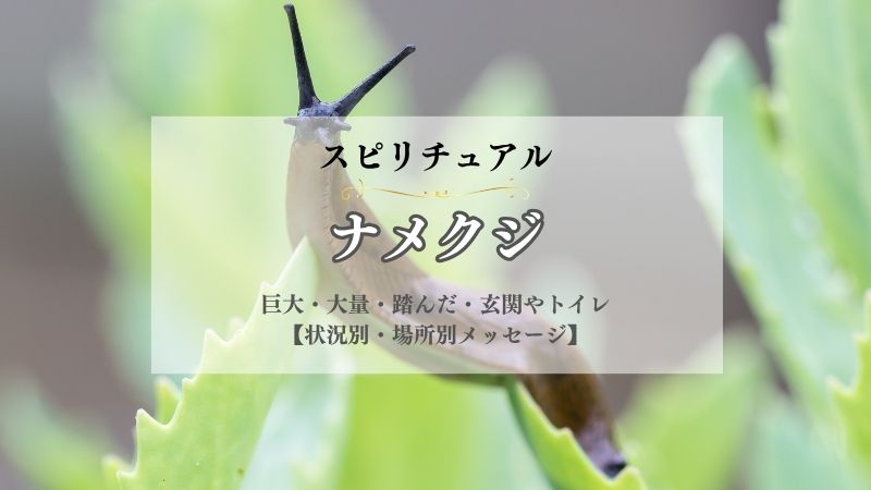 ナメクジ・スピリチュアル・意味・巨大・大量・踏んだ・玄関やトイレ・現れる・メッセージ