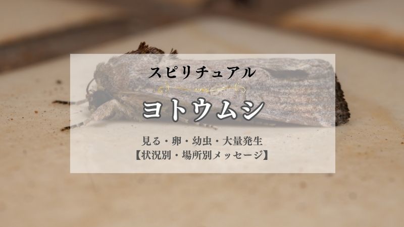ヨトウムシ・スピリチュアル・意味・見る・卵・幼虫・大量発生・メッセージ