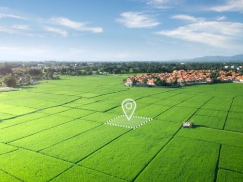 土地購入は人生の転機？スピリチュアルな意味