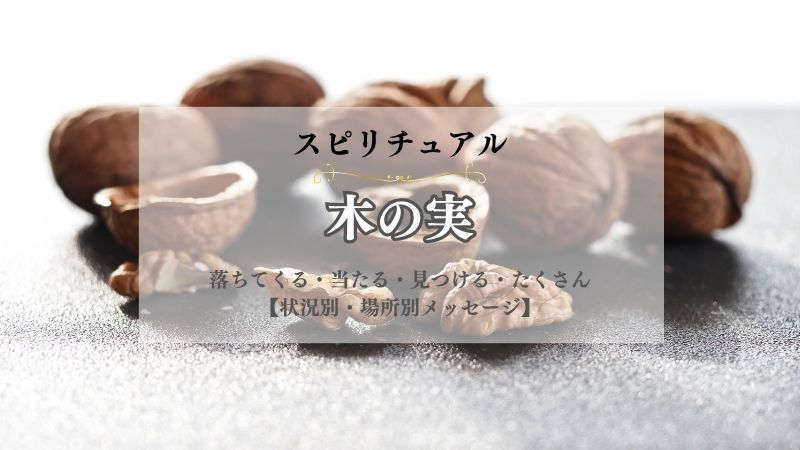 木の実・スピリチュアル・意味・落ちてくる・当たる・見つける・たくさん・拾う