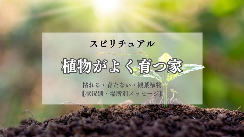 植物がよく育つ家・スピリチュアル・意味・枯れる・育たない・観葉植物・状況別
